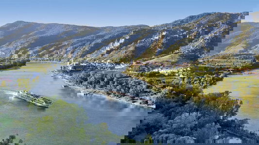 Amadeus Queen Amadeus Queen