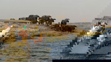 Zambezi & Chobe River Cruises River Cruises)