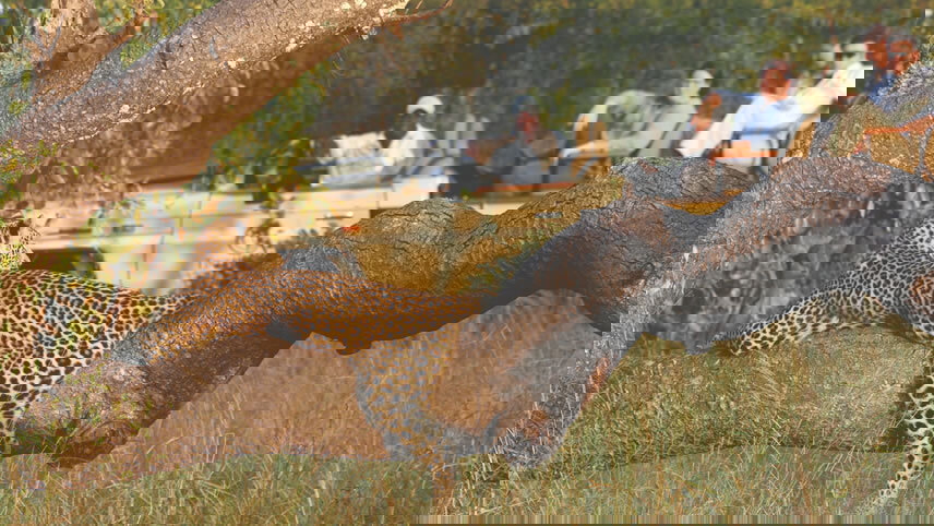 Rivers & Rails of Africa