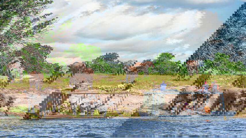 Golden Trails of Africa