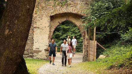 All Excursions Included