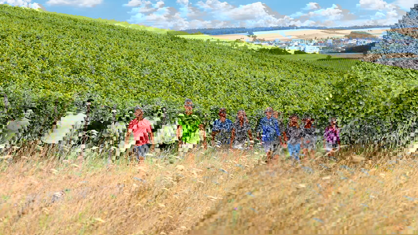 Vineyards of the Rhine & Moselle