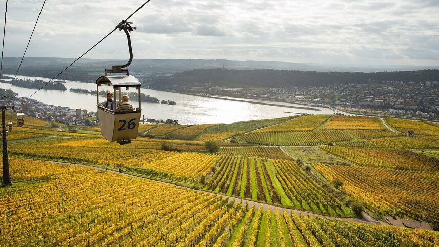 Vineyards of the Rhine & Moselle with Amsterdam and Paris (Wine Cruise)