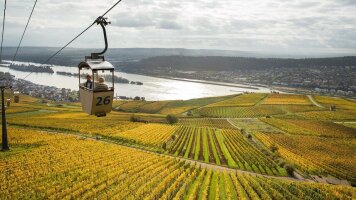 13 Day Vineyards of the Rhine & Moselle with Amsterdam and Paris (Wine Cruise) (AmaWaterways)