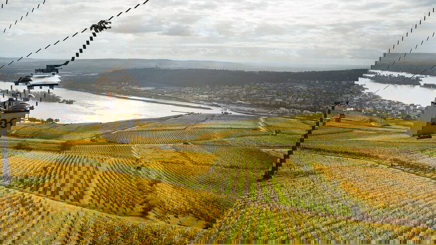 Vineyards of the Rhine & Moselle with Amsterdam and Paris (Wine Cruise)