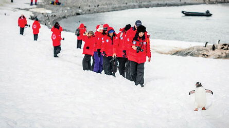 29 Day Antarctic Voyage with South American Discovery (APT)