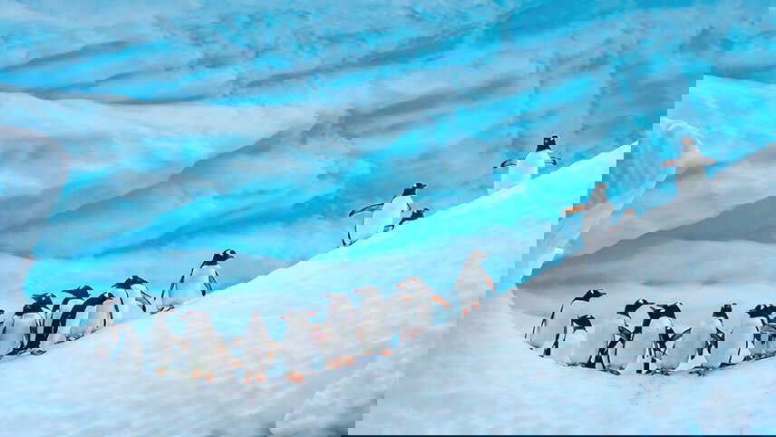 Antarctic Voyage with South American Discovery