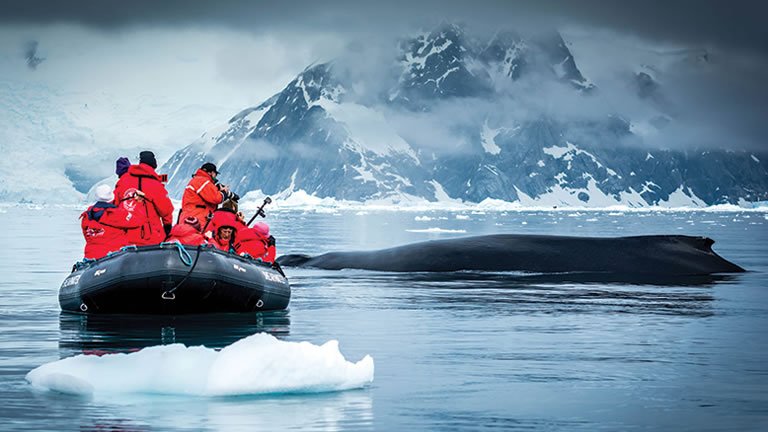 Antarctic Voyage with Brazil Highlights