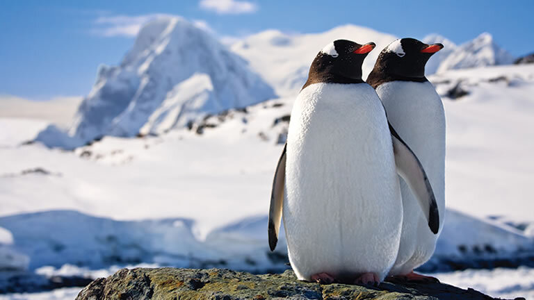 Antarctic Voyage with Chile