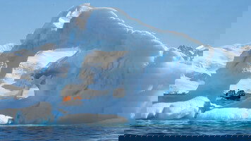 20 Day Antarctic Voyage with Brazil Highlights (APT)