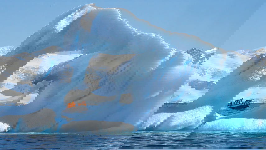 Antarctic Voyage with Brazil Highlights