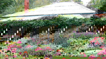 APT Botanica World Discoveries