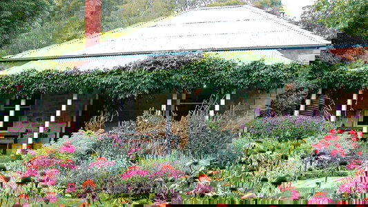 APT Botanica World Discoveries