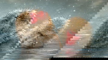 Scenic Coach Tours Trips