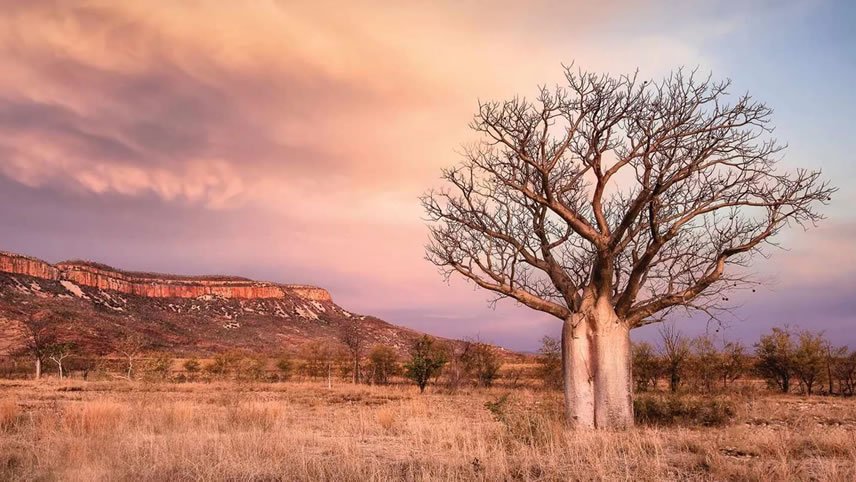 Discovering The Kimberley With APT