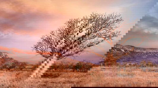 Discovering The Kimberley With APT