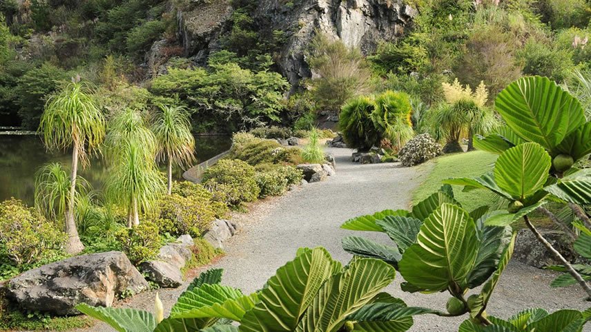 Subtropical Landscapes & Gardens of the North Island