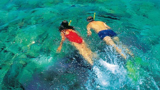 Snorkel Ningaloo Reef