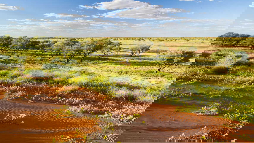 Queensland’s Outback Heritage & Oasis Gardens