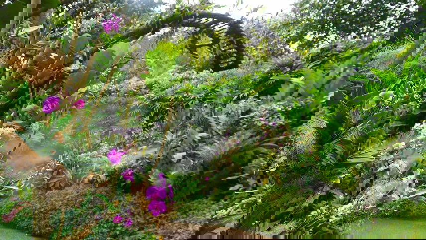 Singapore - A City Within A Garden