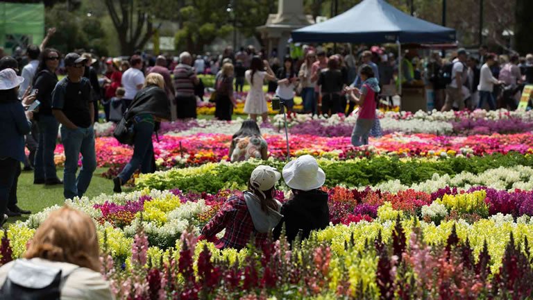 Toowoomba Carnival of Flowers & Subtropical Gardens of the Coast