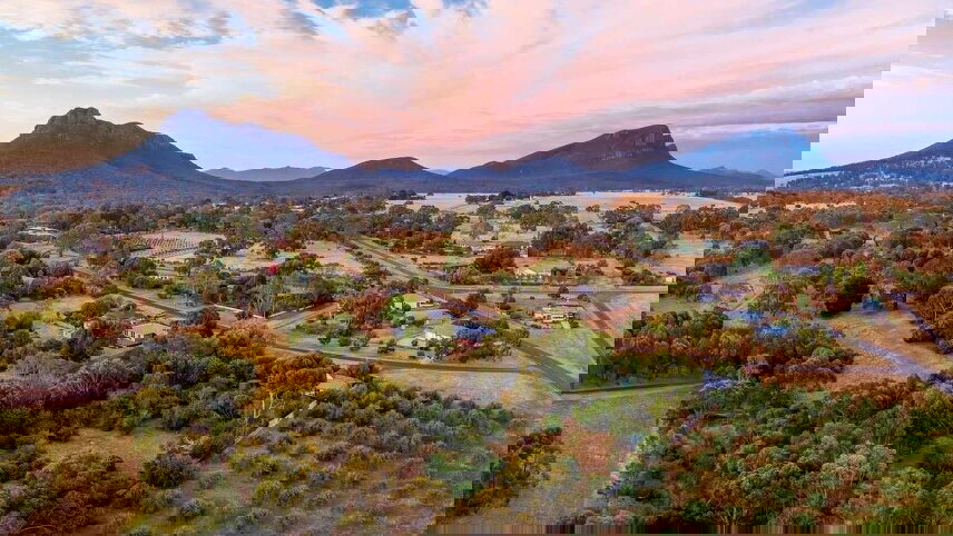 A Walking Wildflower Discovery of the Grampians and Beyond