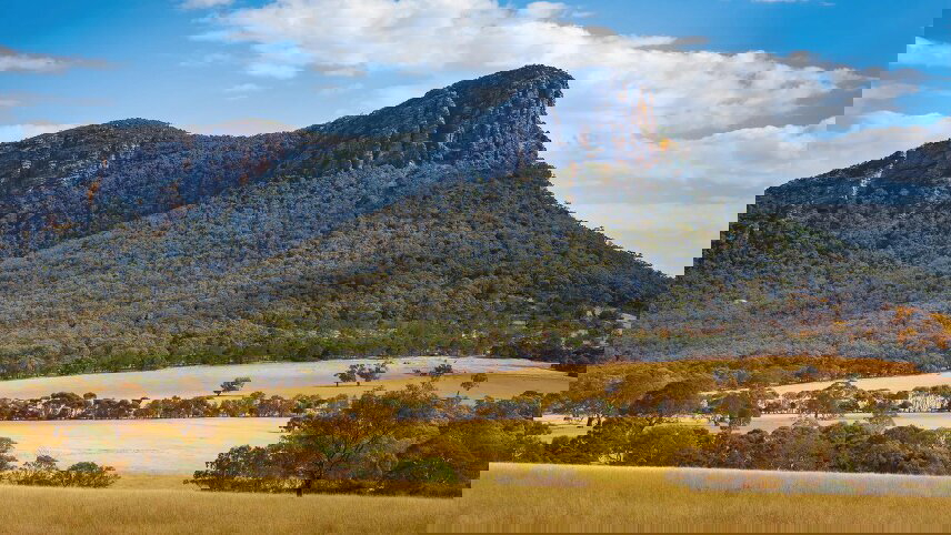 A Walking Wildflower Discovery of the Grampians and Beyond