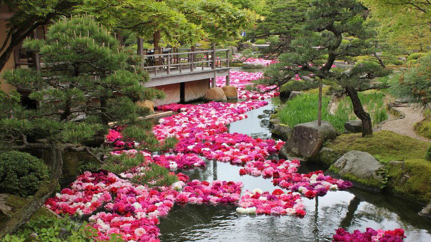 Spring Gardens, Culture and History of Japan & South Korea by Small Ship
