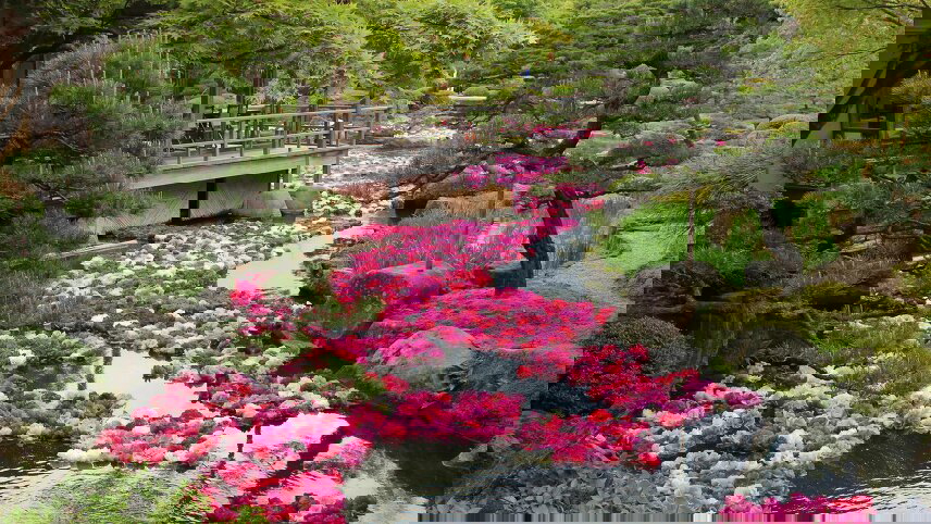 Spring Gardens, Culture and History of Japan & South Korea by Small Ship