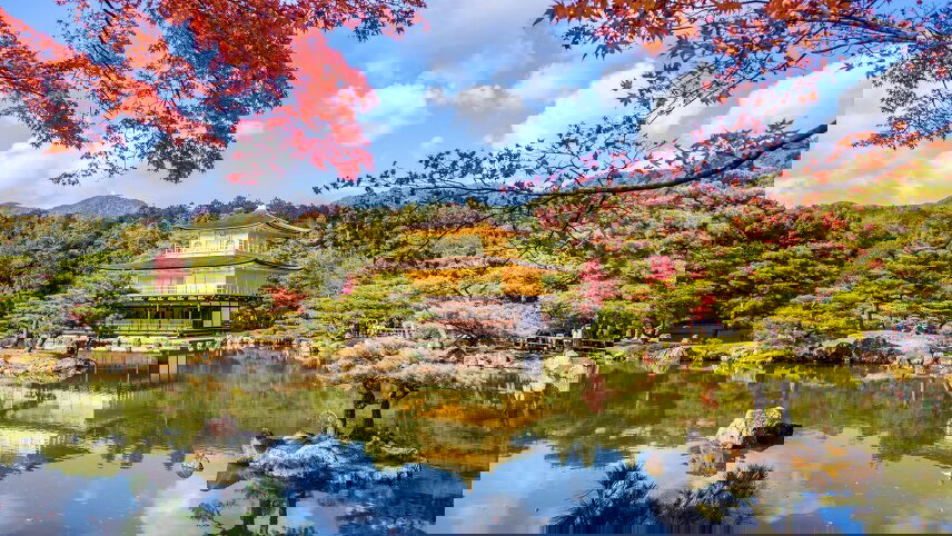 Japanese Culture, Art & Gardens in Autumn Splendour