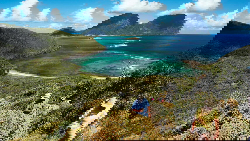 Walking Discoveries of Lord Howe Island’s Flora, Seabirds & Marine Life