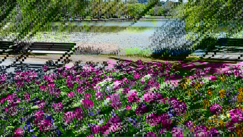 Canberra’s Floriade, New South Wales Tulips & Private Gardens