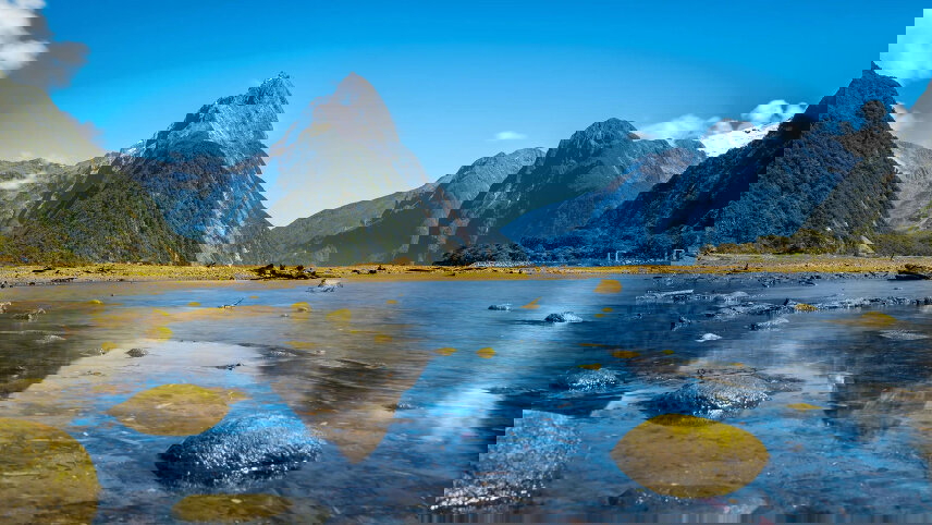 New Zealand’s Gardens & Natural Wonders