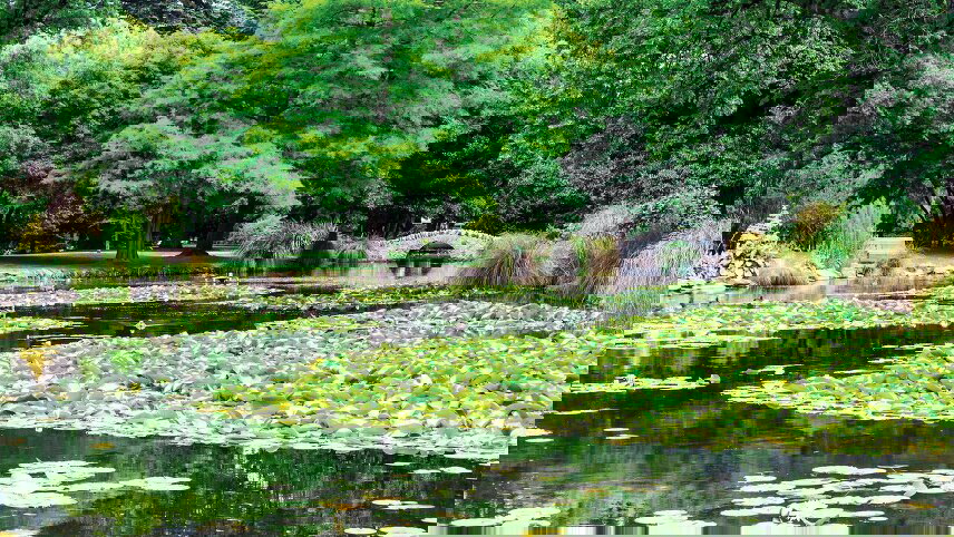 New Zealand’s Gardens & Natural Wonders