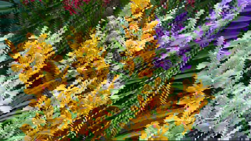 Singapore’s City Within Nature and Malaysia Aboard the Eastern and Oriental Express