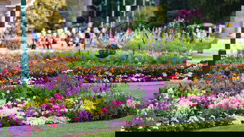 8 Day Toowoomba Carnival of Flowers & Subtropical Gardens of the Coast (APT)