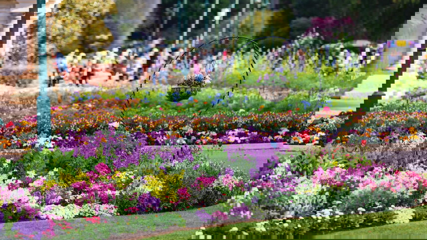 Toowoomba Carnival of Flowers & Subtropical Gardens of the Coast