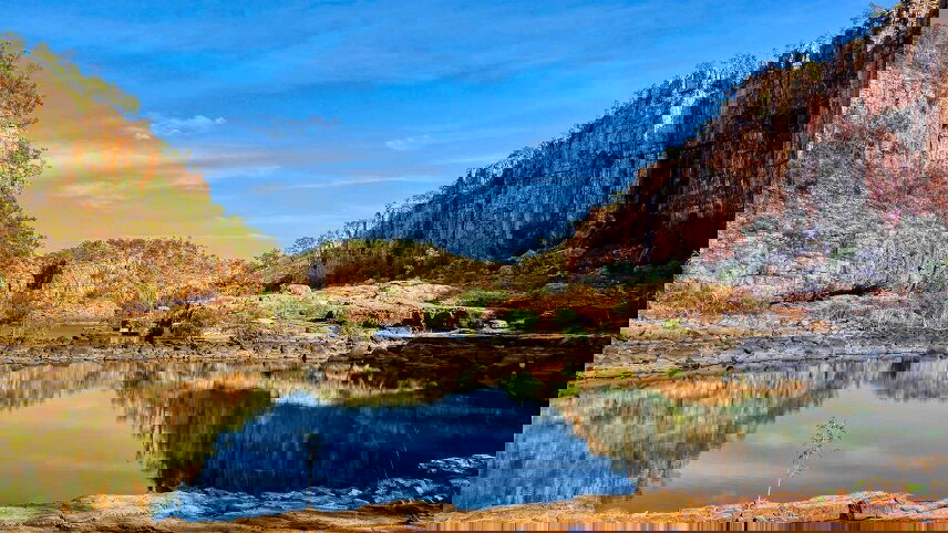 Botanical Top End, Rock Art & Kakadu