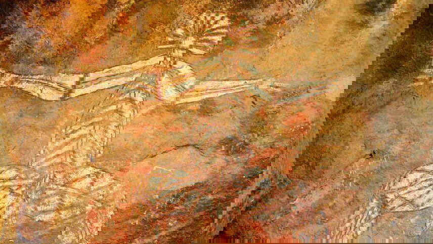 Botanical Top End, Rock Art & Kakadu