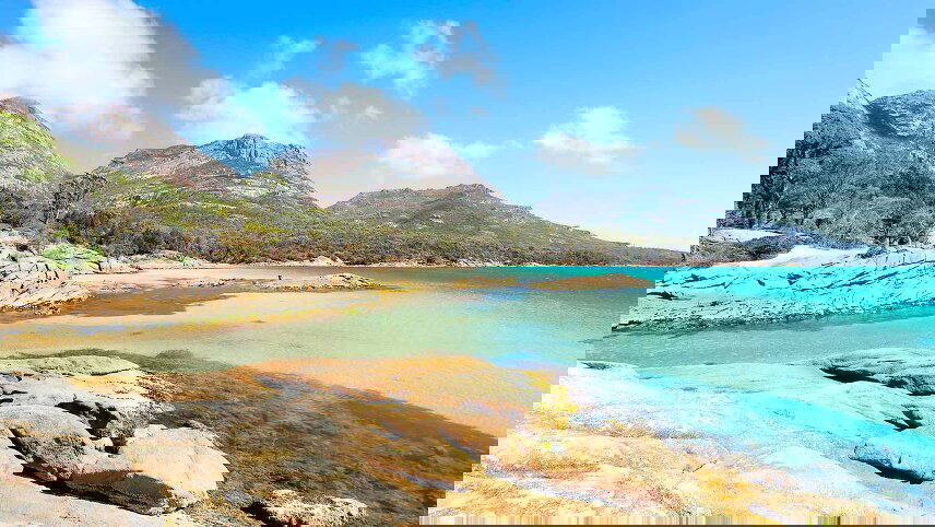 Natural Landscapes of Tasmania in Wildflower Season Walking Tour