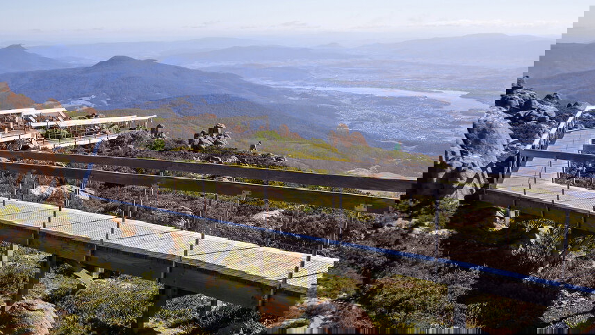 Natural Landscapes of Tasmania in Wildflower Season Walking Tour