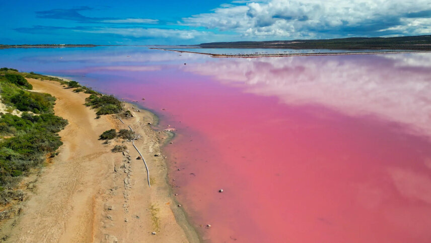 Western Australia’s Wildflower Trails Along the Coral Coast