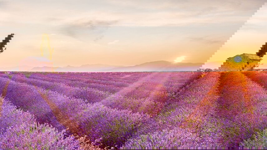 Essence of Burgundy and Provence