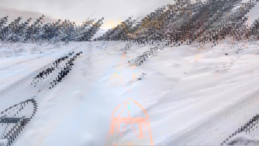 In Search of the Northern Lights