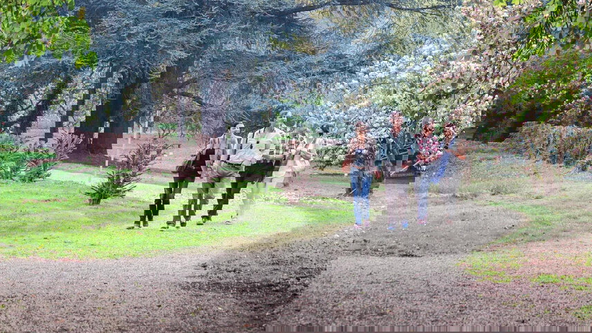 In Search of the Northern Lights with Magnificent Europe