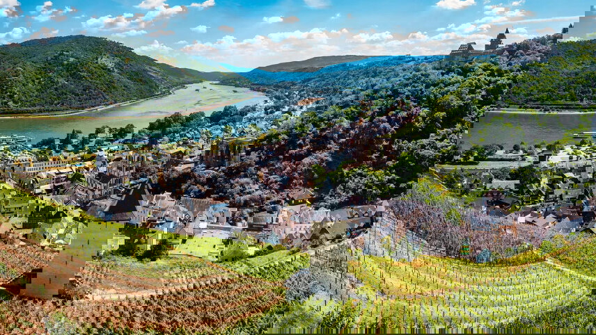 Highlights of the Rhine and Main