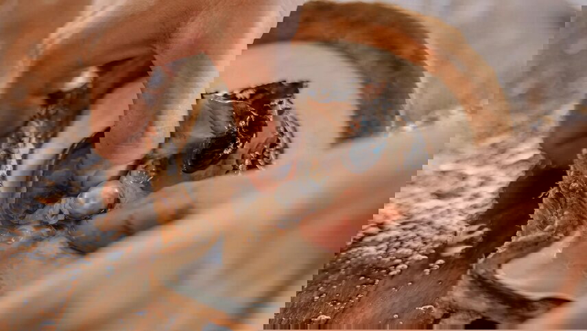 Cultural Gems of the Dampier Peninsula