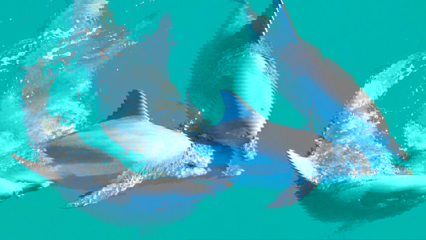 West Coast Explorer with Kimberley Coastal Expedition