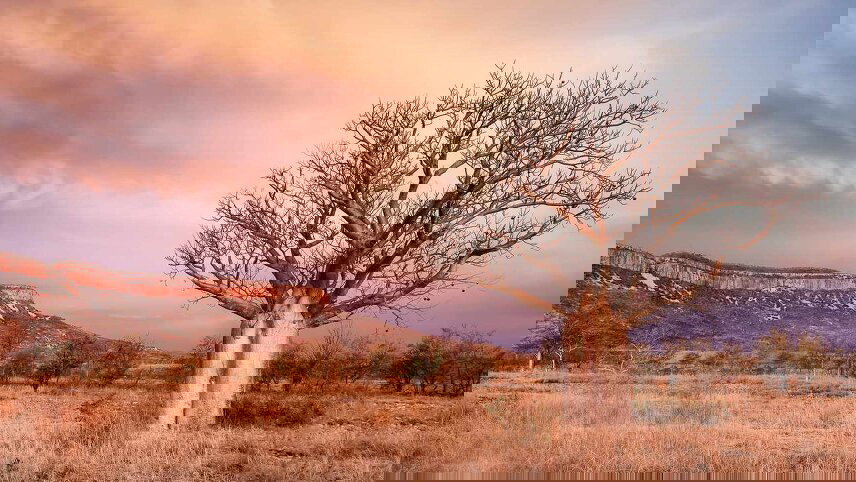 Kimberley Coastal Expedition with Essence of the Kimberley (Land in Reverse)