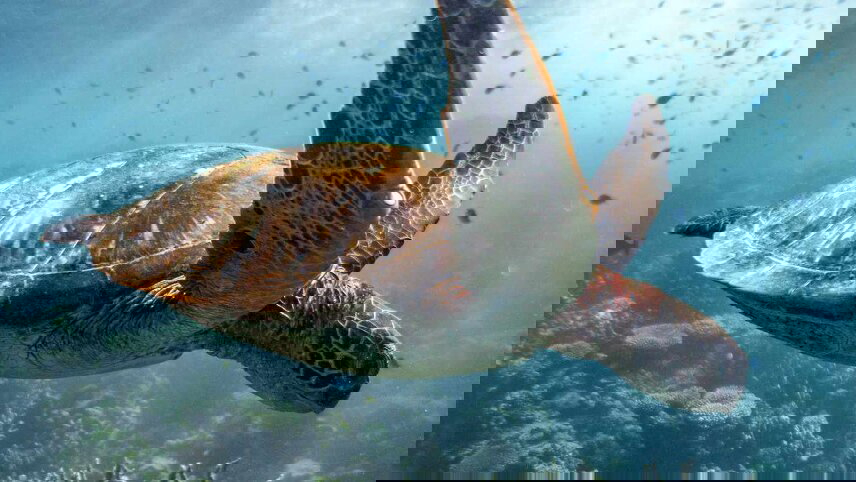 Kimberley Coastal Expedition with West Coast Explorer